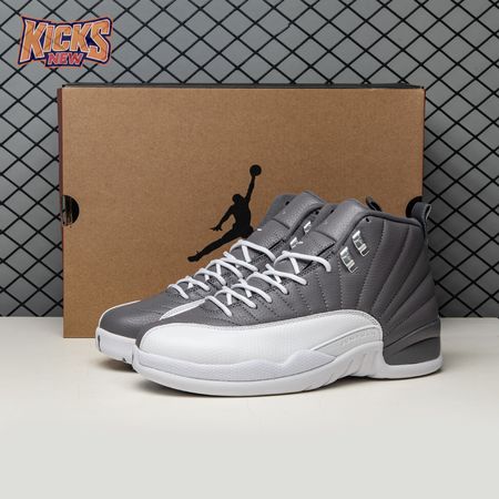 Air Jordan 12 "Stealth" CT8013-015 Men's
