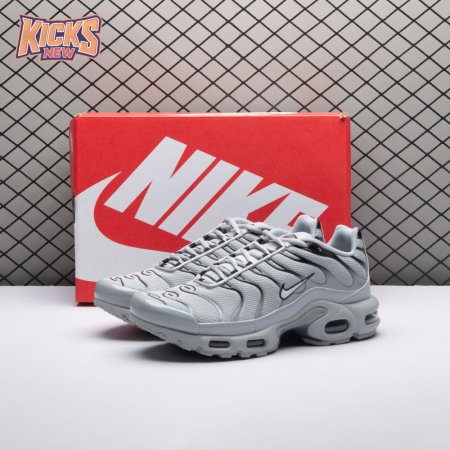 Nike Air Max Plus Wolf Grey 852630-021 Unisex