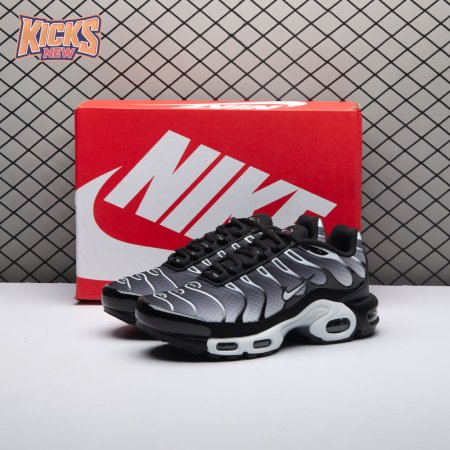 Nike Air Max Plus Black Silver White DM0032-003 Unisex